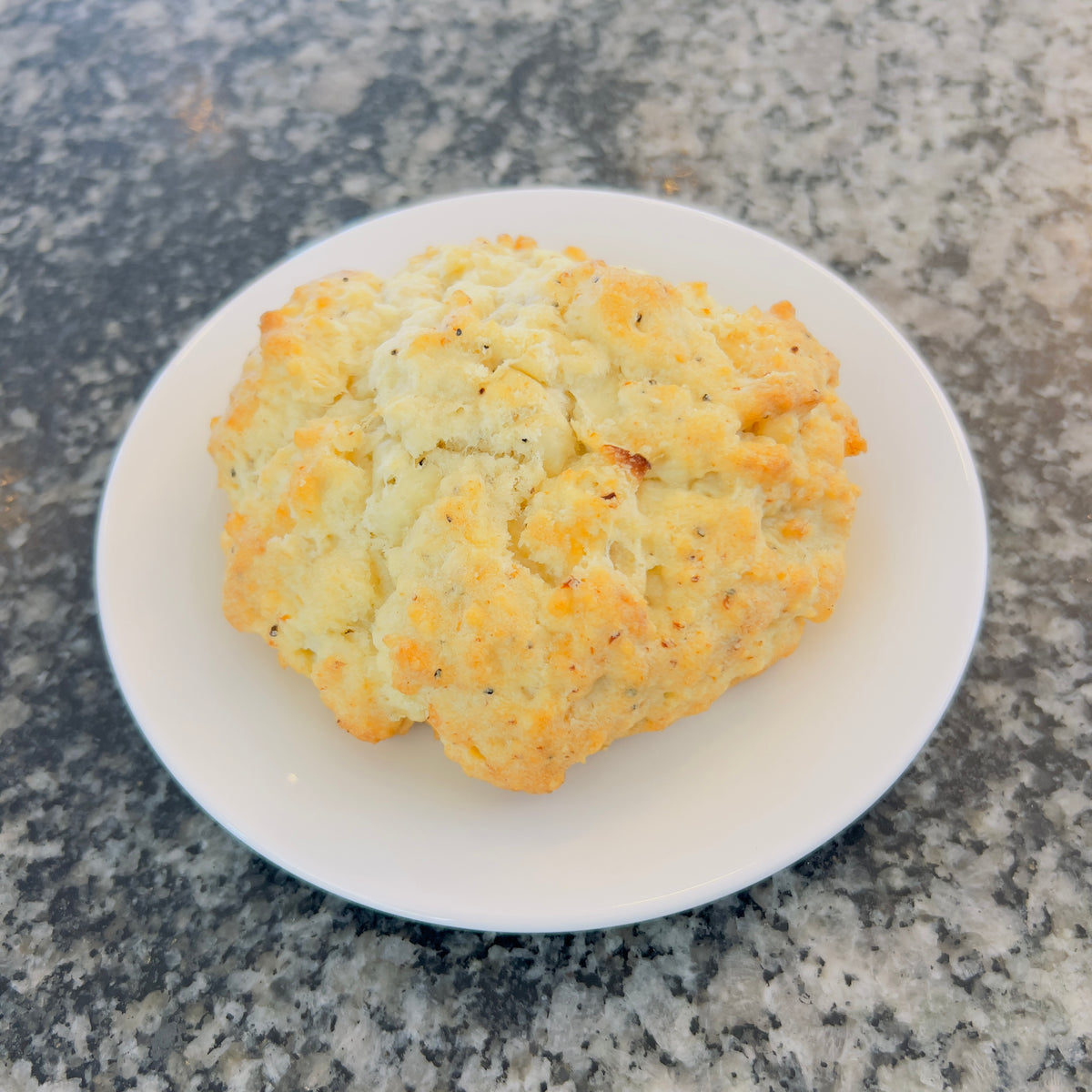 Turkey Swiss Scone