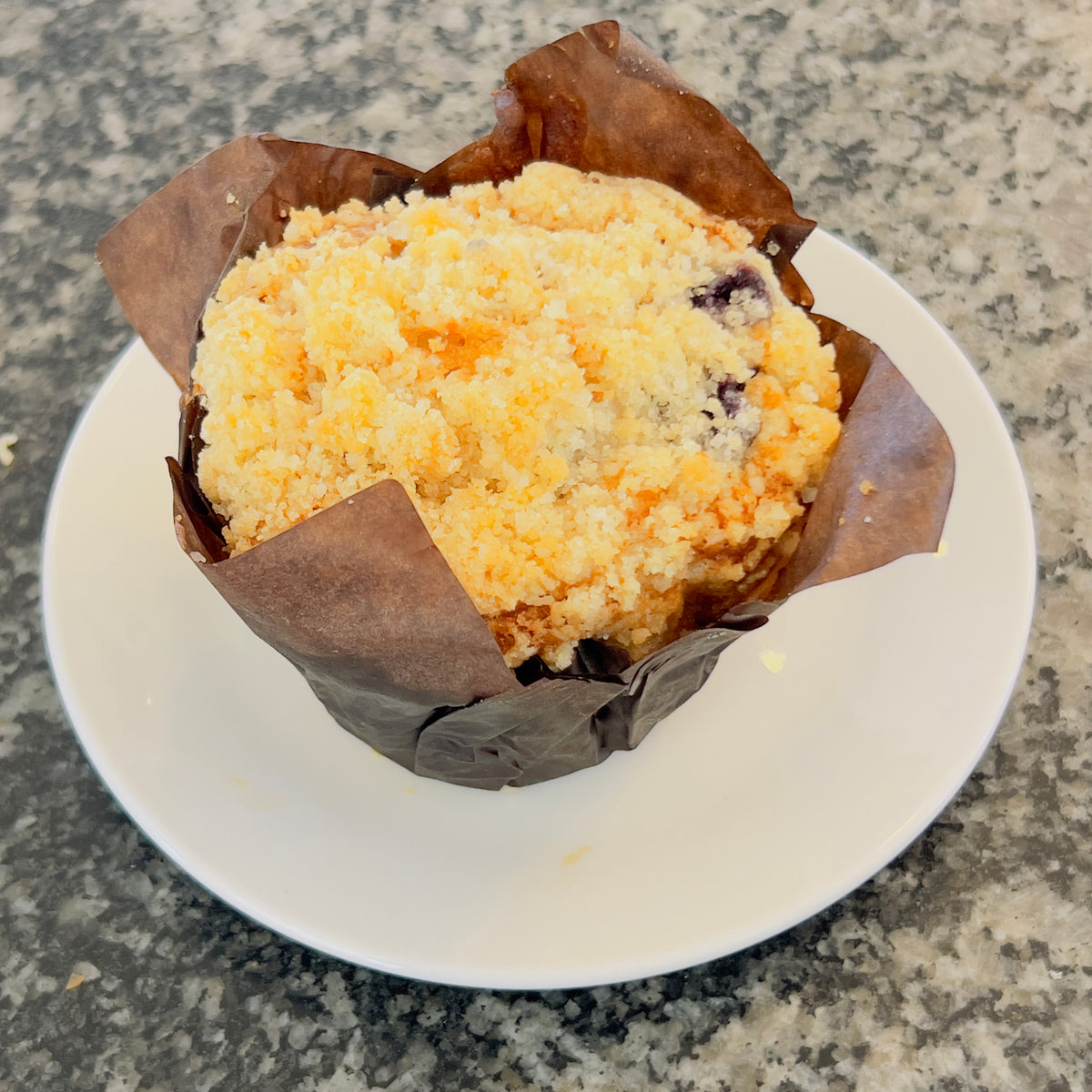 Blueberry Muffin